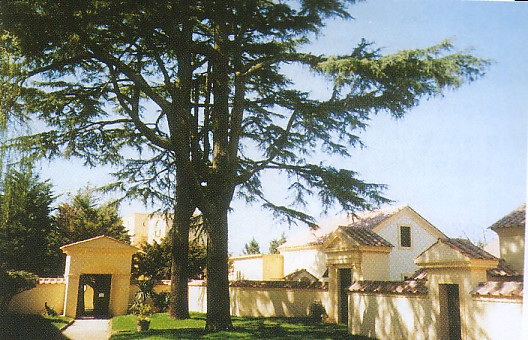 camaldoli